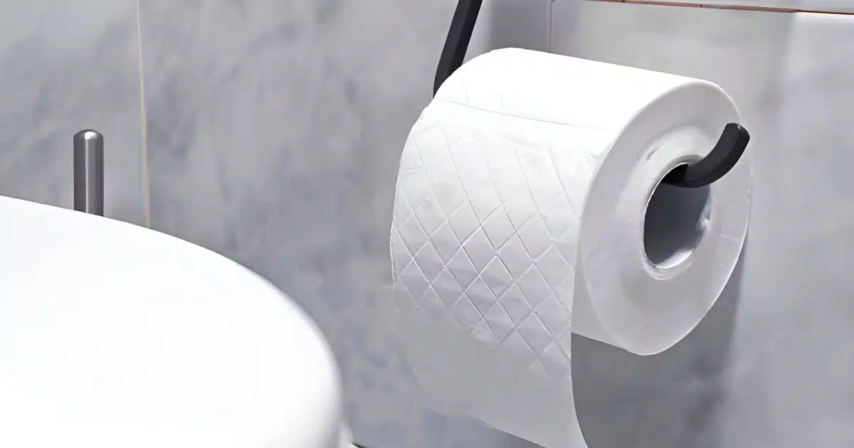 Vous ne devriez pas mettre de papier toilette à cet endroit précis de la salle de bain