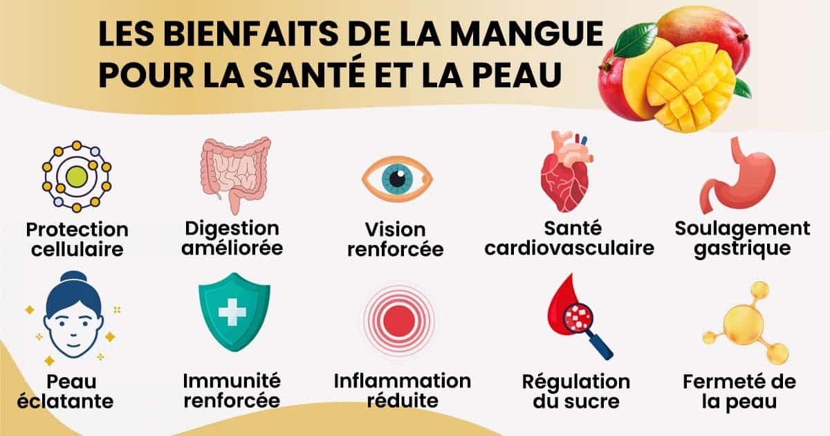 10 bienfaits de la mangue pour la santé et la peau