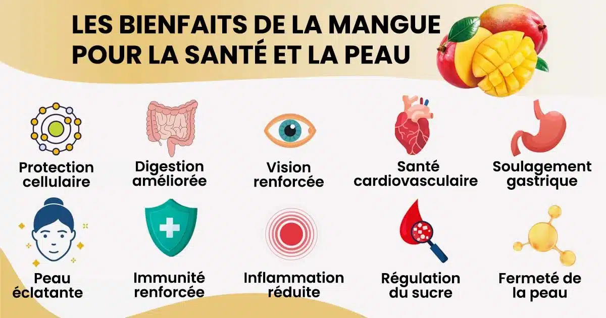 10 bienfaits de la mangue pour la santé et la peau