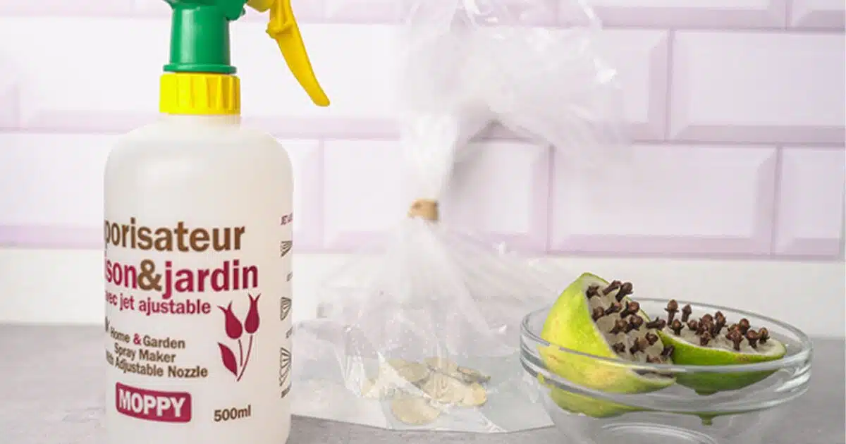 7 astuces pour fabriquer un répulsif anti-mouches