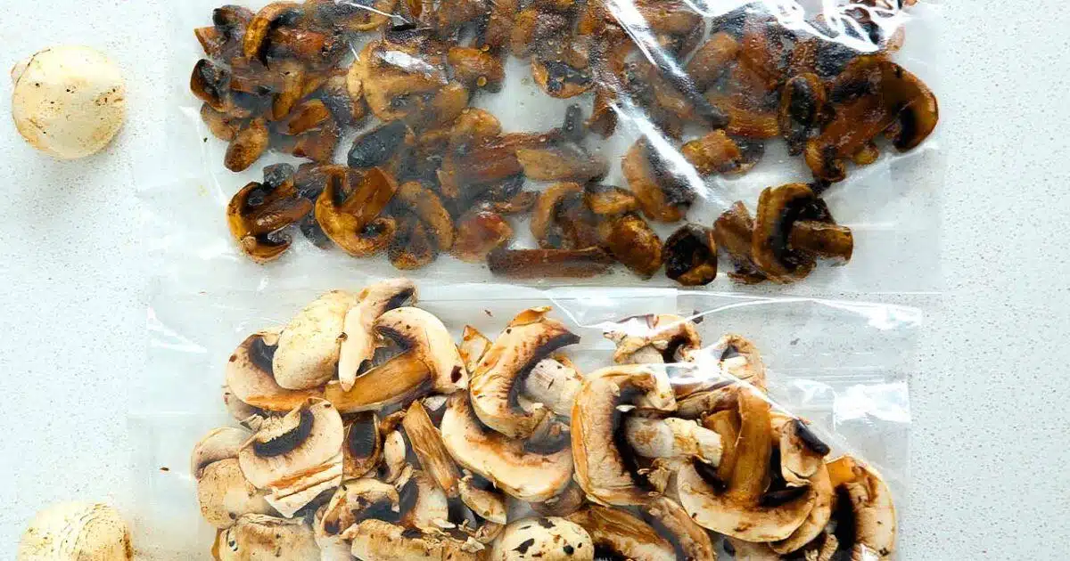 Comment congeler des champignons crus ou cuits ?