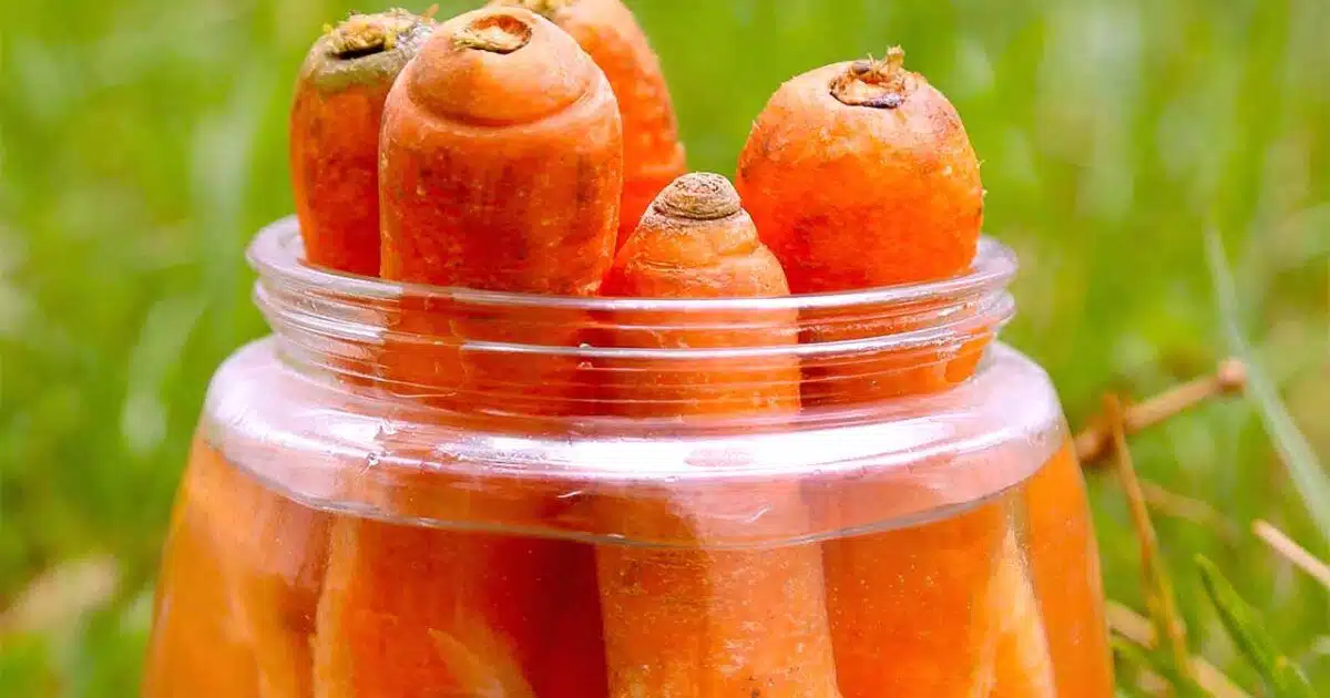 Comment conserver des carottes pour qu’elles restent croquantes le plus longtemps possible ?