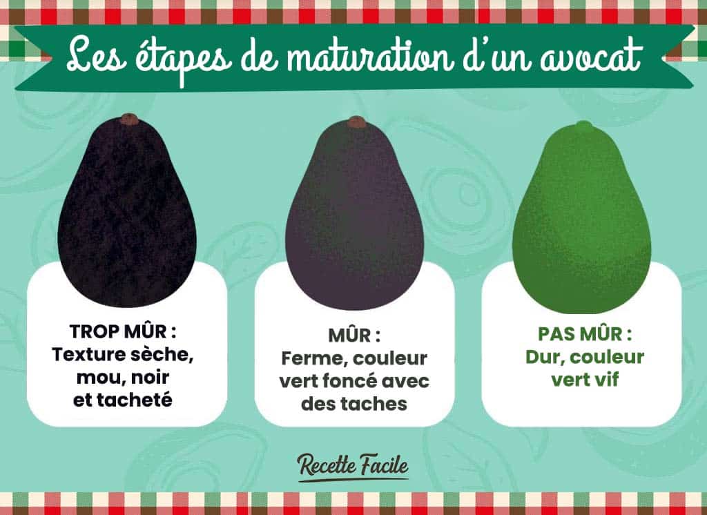 Comment faire mûrir un avocat rapidement : 6 astuces