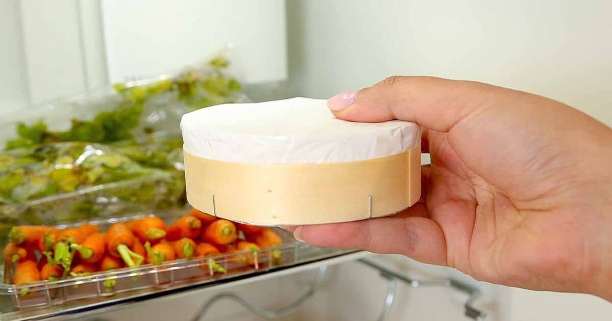 Peuton congeler du fromage ? Voici tout ce que vous devez savoir Recette Facile