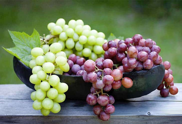 Fruit en R liste de tous les fruits commençant par R