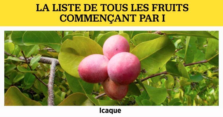 Fruit en A : liste de tous les fruits commençant par A - Recette Facile