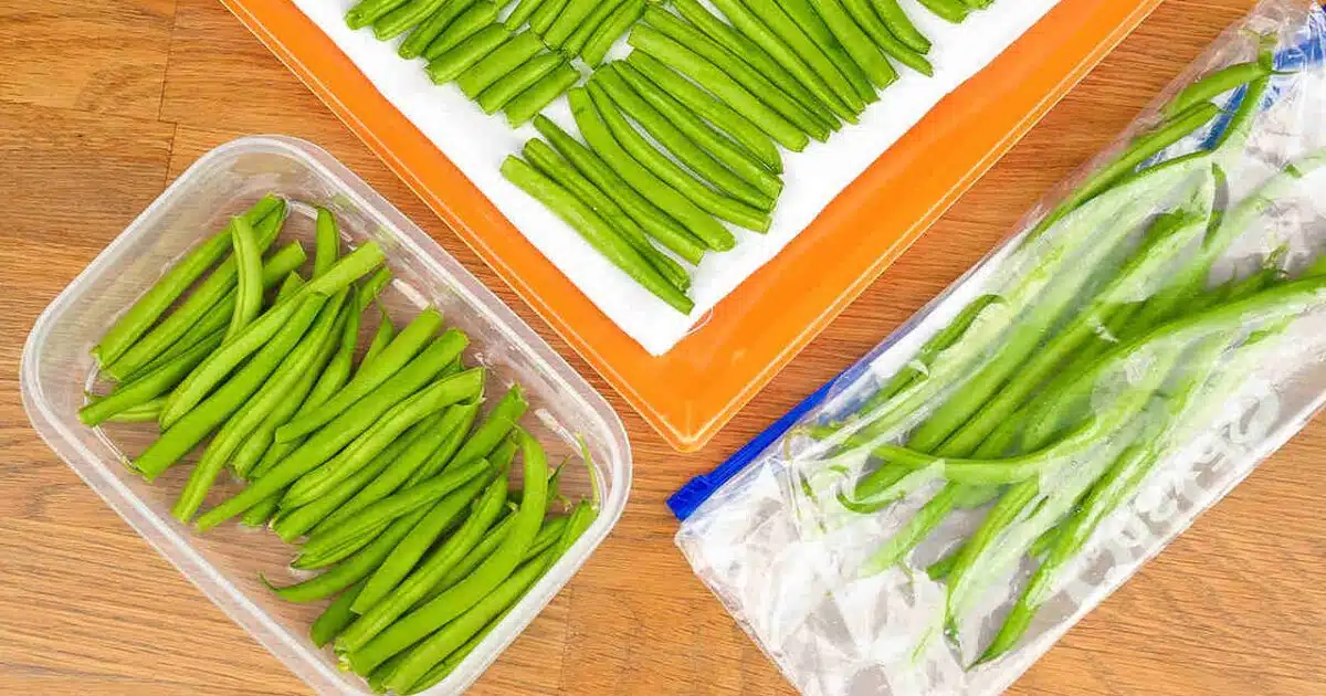 Comment congeler des haricots verts pour les conserver ?