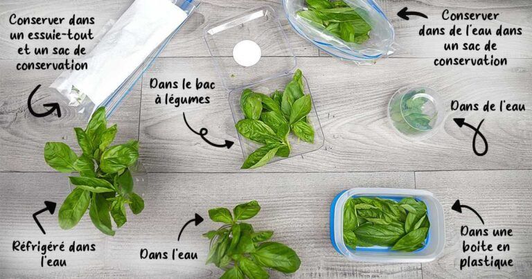 Comment dessaler un plat trop salé : 6 astuces pour le rattraper