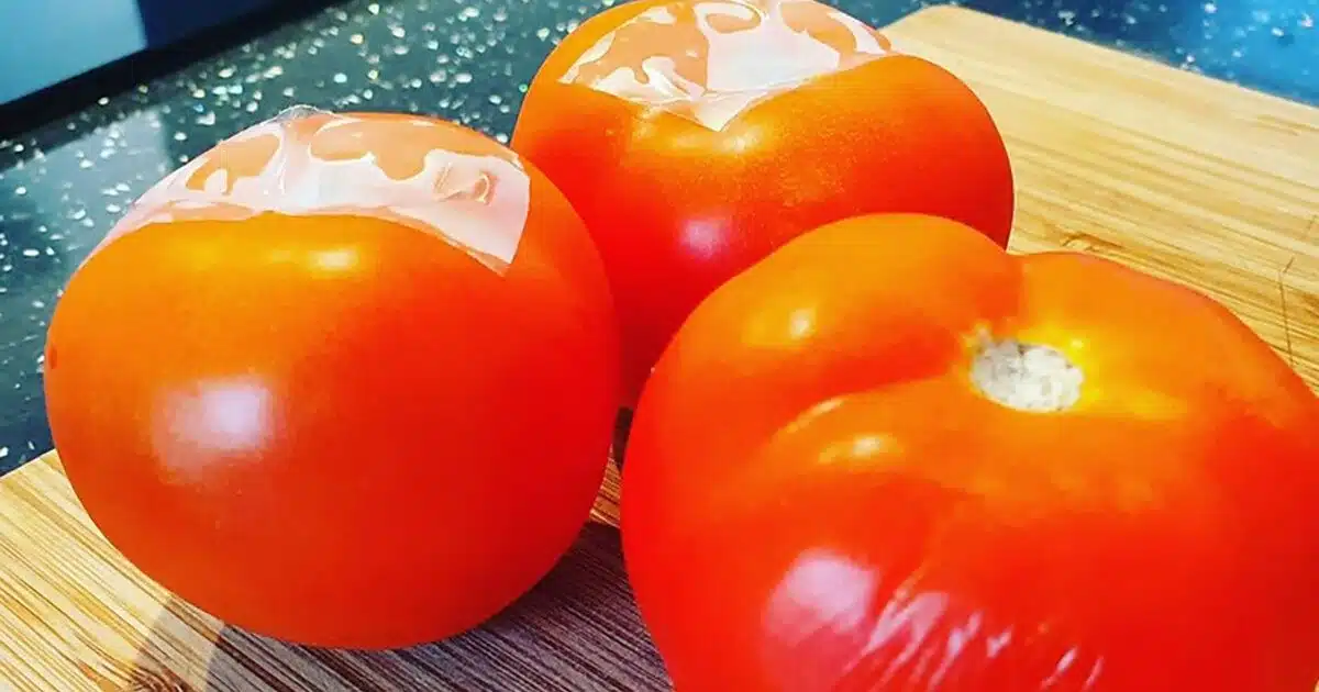 Conservez vos tomates jusqu’à deux semaines ?