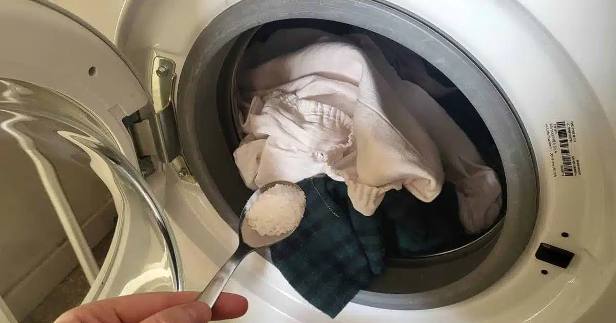 Détartrer votre machine à laver avec du sel : une astuce pour un linge plus propre