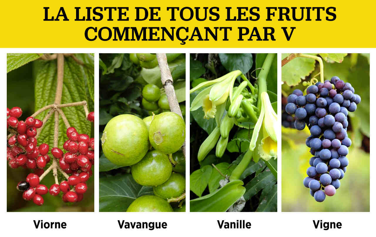 Fruit en V : liste de tous les fruits commençant par V - Recette Facile