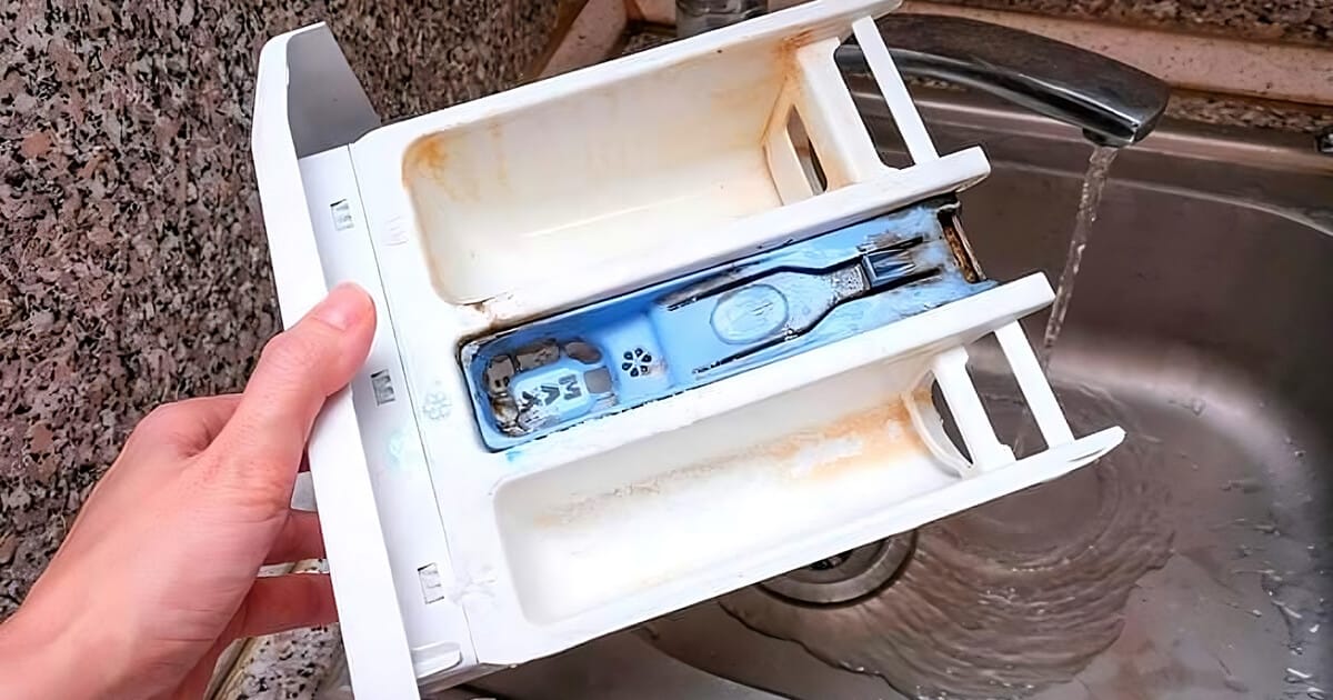 L’astuce pour nettoyer le bac de la machine à laver et éviter les moisissures ainsi que les mauvaises odeurs sur le linge