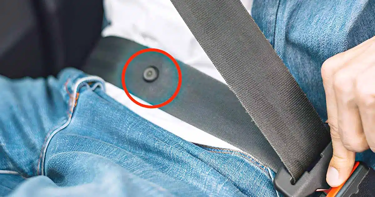 Mais à quoi sert vraiment le petit bouton sur la ceinture de sécurité de la voiture ?