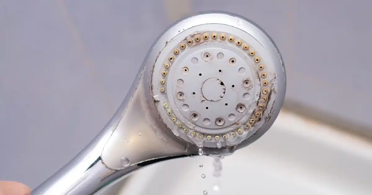 Votre pommeau de douche est bouché ? Voici la méthode efficace pour le détartrer naturellement